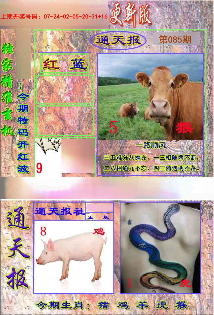 085期新通报[图]