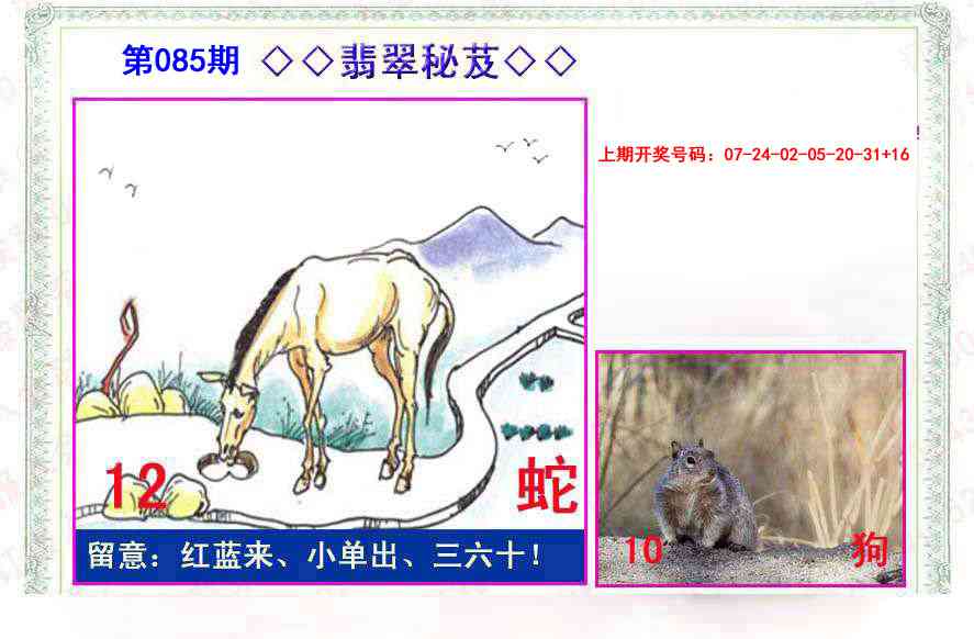 085期翡翠报[图]