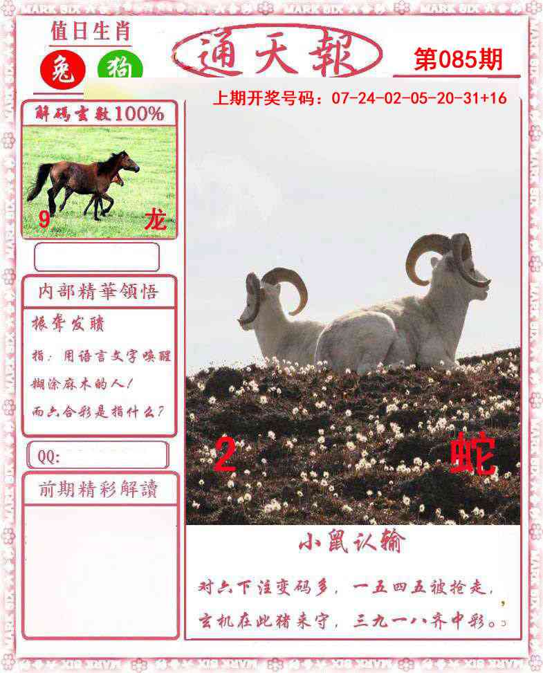 085期正版通天报[图]
