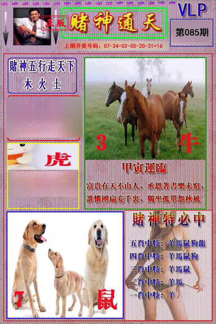 085期赌神通天报[图]